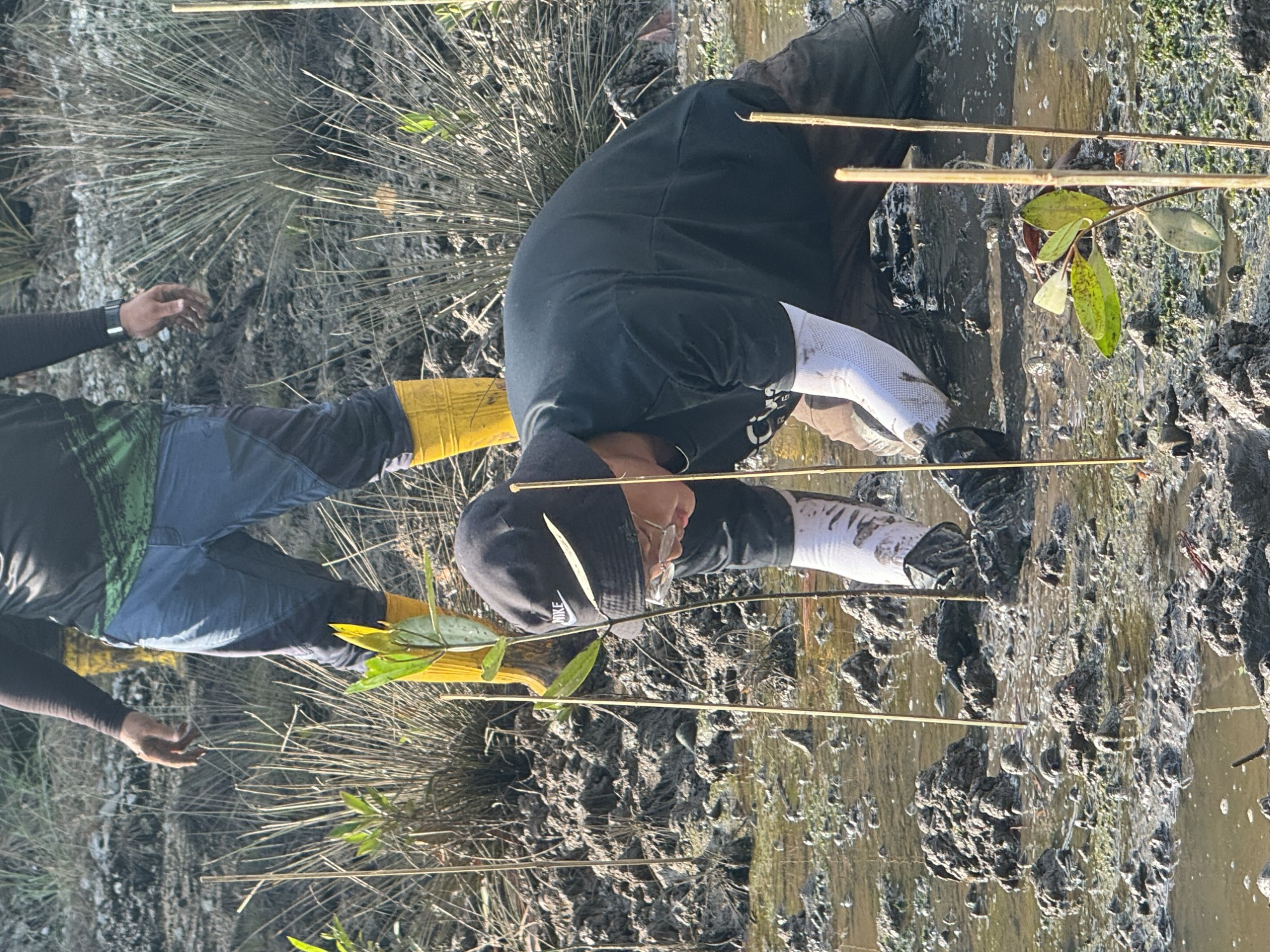 PLANTING HOPE FOR THE EARTH 2.0